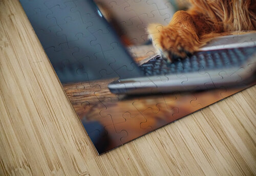 Working like a dog 02 The Diligent Canine Matthias Hauser puzzle