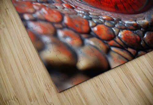 Dragon Eye 01 Red Matthias Hauser puzzle