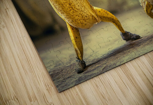 Dynamic Duo - Dancing Bananas Matthias Hauser puzzle