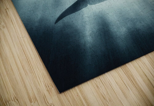 Orca Grace Matthias Hauser puzzle