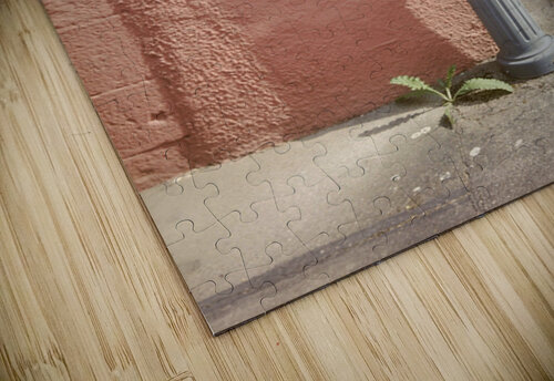 Persistence in Pastel Matthias Hauser puzzle