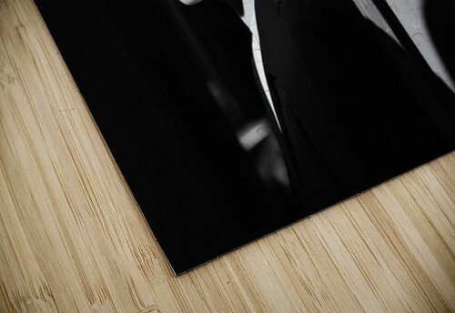 Split Light Split Loyalty - Film  Noir Matthias Hauser puzzle