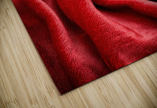 Red Abstract Fabric Matthias Hauser puzzle