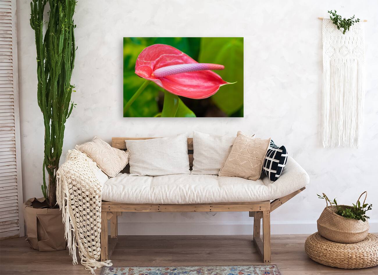 Flamingo Flower in Bloom Reproduction