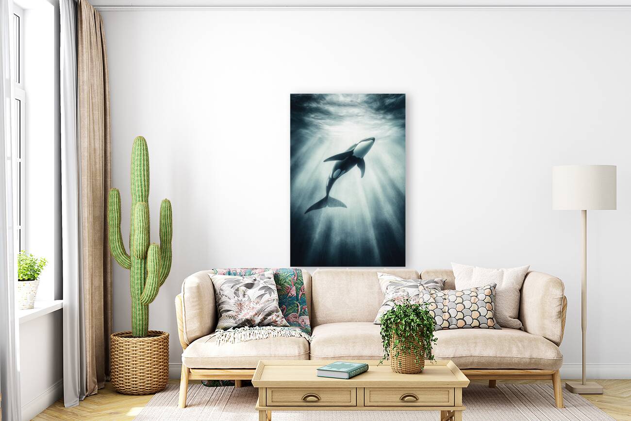 Orca Grace Reproduction