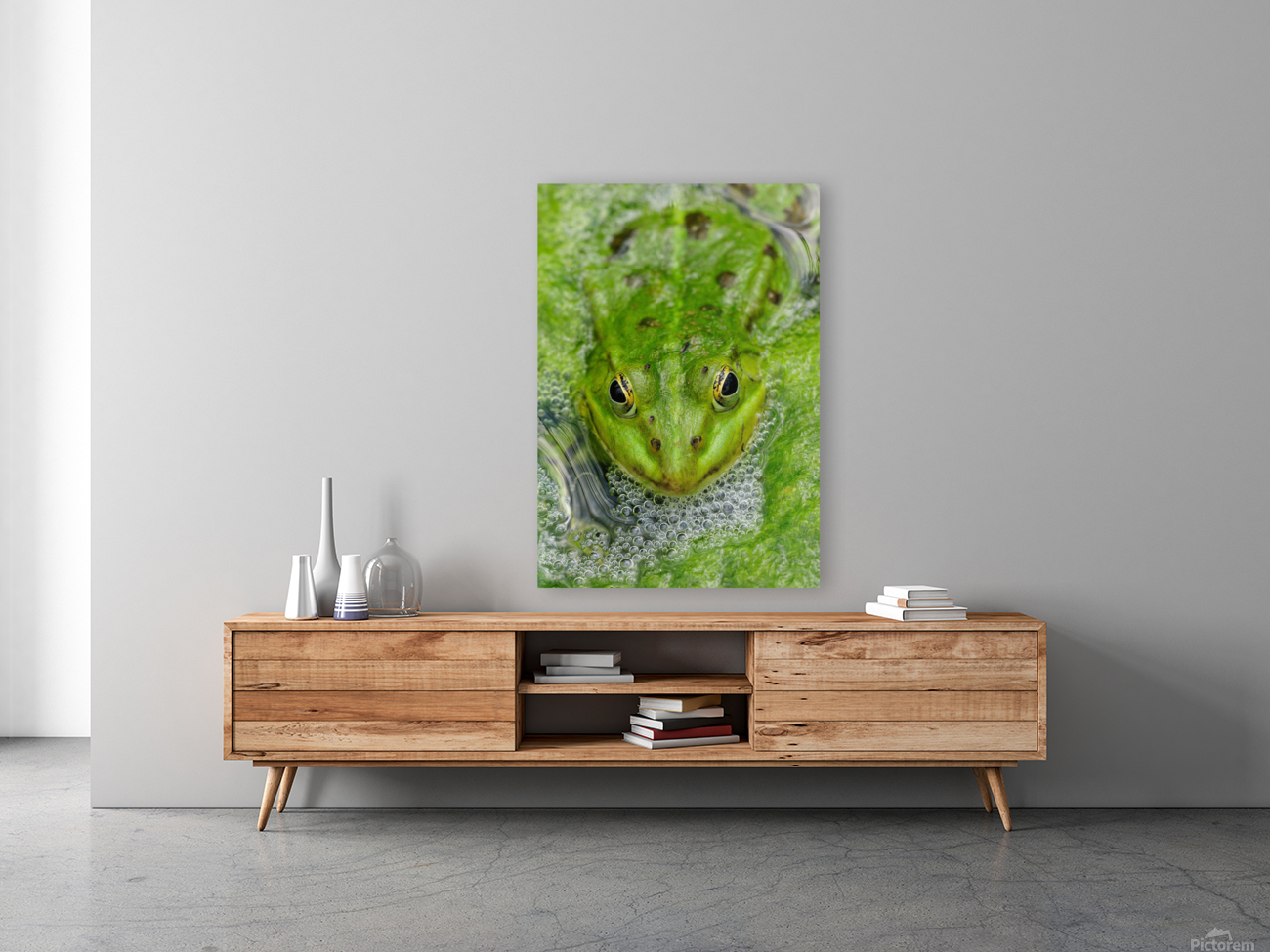 Green Frog Reproduction