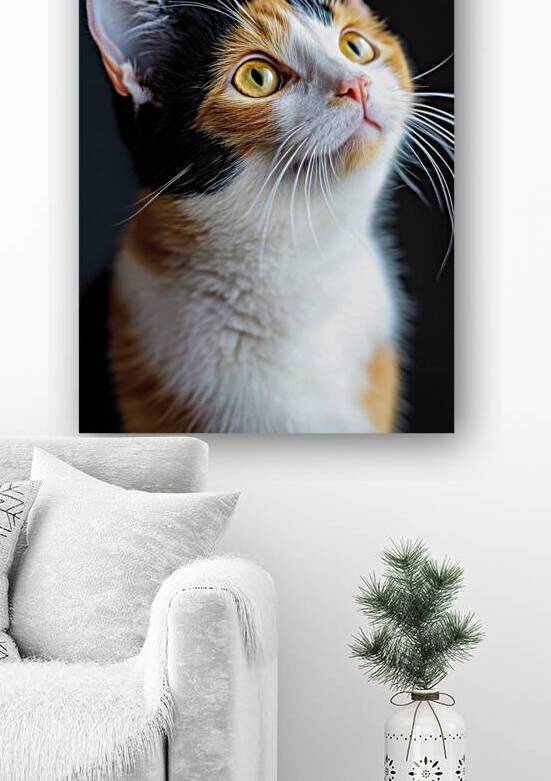 Calico Cat Portrait - Gaze of Grace by Matthias Hauser