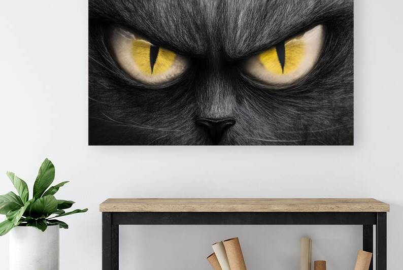Cat Eyes - Piercing Gaze of Mystery by Matthias Hauser