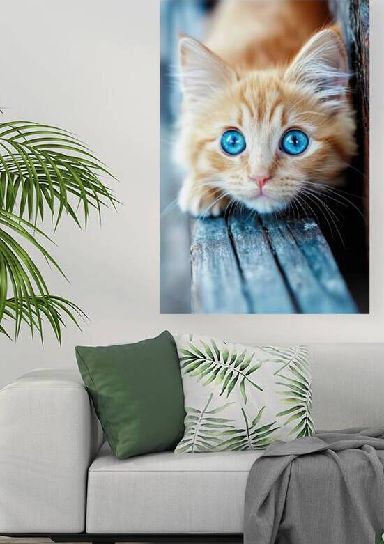 Ocean Eyes - Ginger Cats Curious Gaze by Matthias Hauser