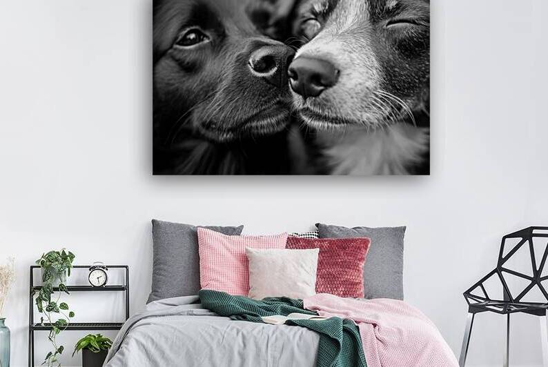 Dog Affection in Black and White by Matthias Hauser