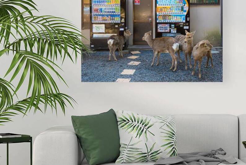 Deer and Vending Machines - Nara Japan by Matthias Hauser