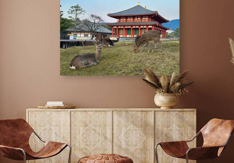 Deer and Ancient Architecture - Heijo Palace Nara Japan by Matthias Hauser