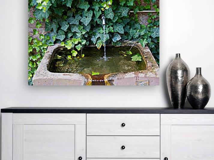 Hidden Fountain - Ivy and Water in Karlsruhe-Durlach by Matthias Hauser