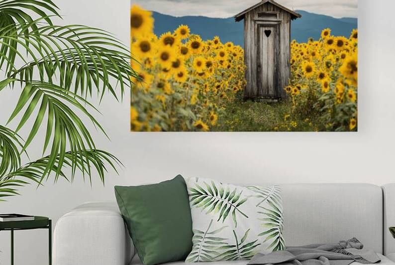 Rustic Outhouse in Sunflower Field 01 by Matthias Hauser