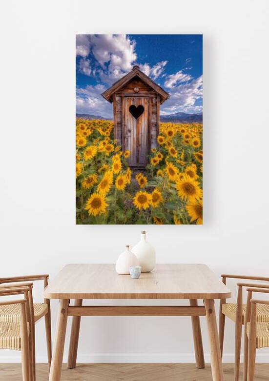 Rustic Outhouse in Sunflower Field - Heart Window by Matthias Hauser