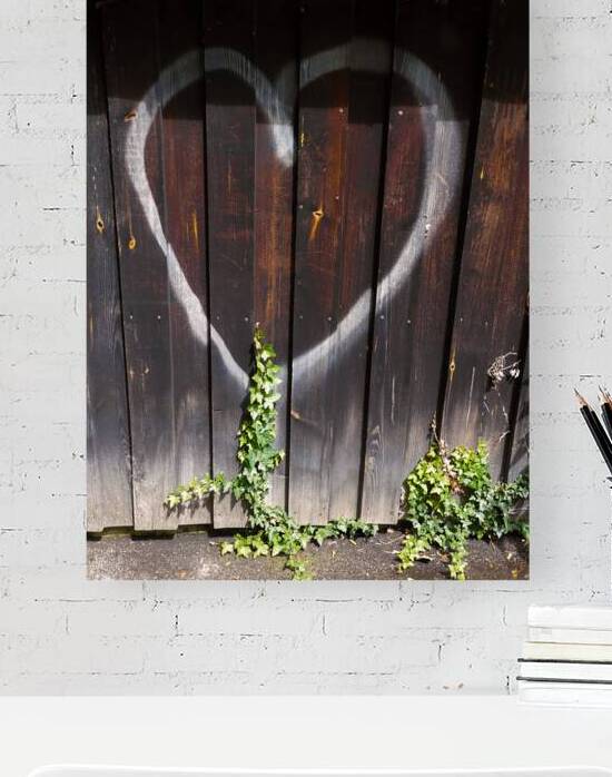 Heart and Ivy - Love Grows in Unexpected Places by Matthias Hauser