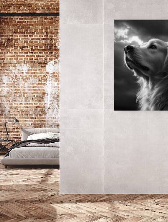 Golden Retriever Looking Toward the Light by Matthias Hauser