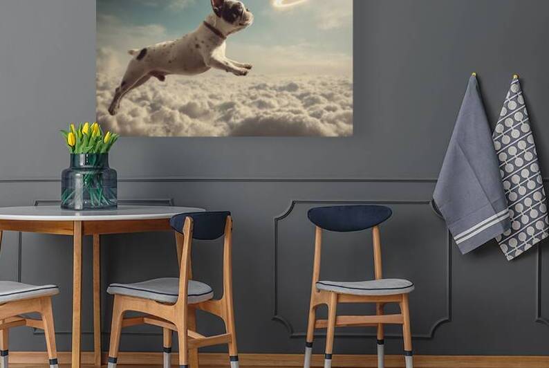 Heavenbound - French Bulldog with Halo by Matthias Hauser