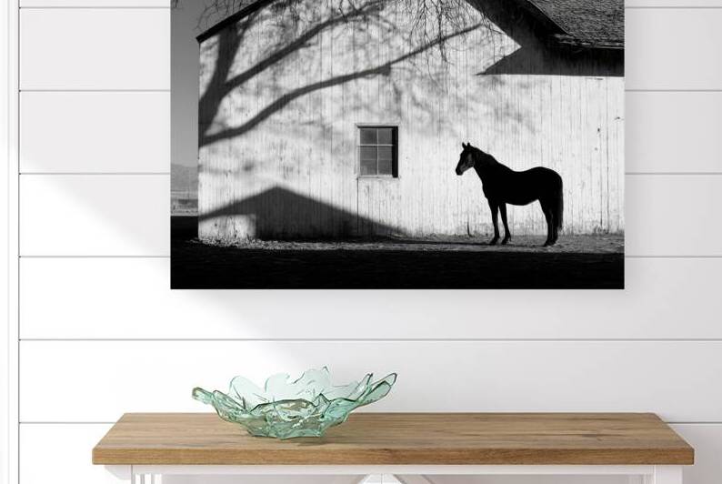Black and White Horse by Barn by Matthias Hauser