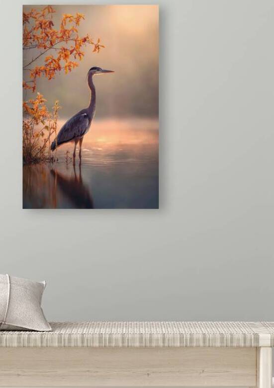 Great Heron in Autumn Morning Light by Matthias Hauser