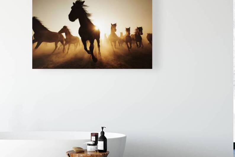 Wild Horses At Golden Hour by Matthias Hauser