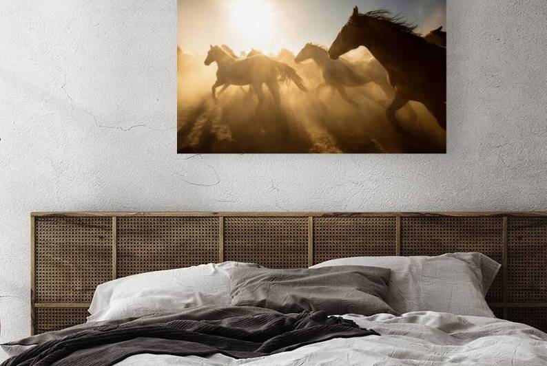 Galloping Horses at Sunrise by Matthias Hauser