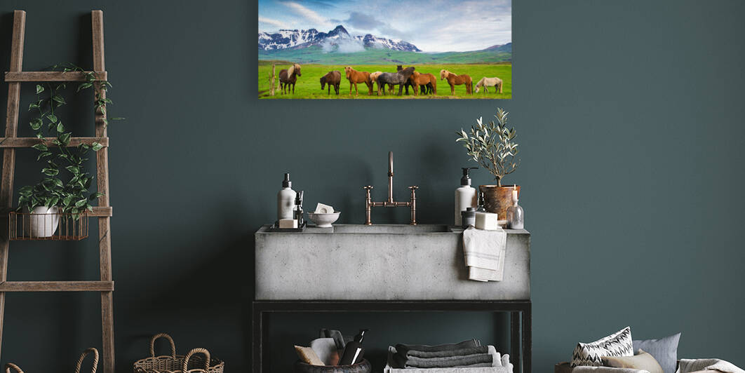 Icelandic horses in mountain landscape in Iceland by Matthias Hauser
