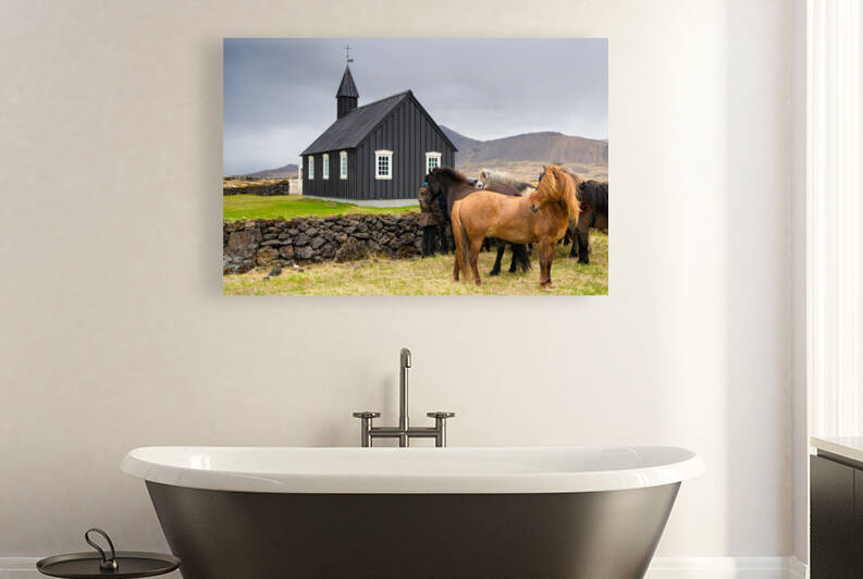 Icelandic horses and Budir church Iceland by Matthias Hauser