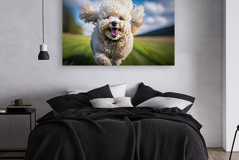 Happy Running Animal 02 Cute Poodle Dog by Matthias Hauser