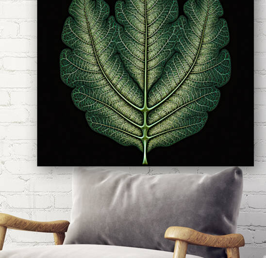 Fractal Leaf 01 Green and Black by Matthias Hauser