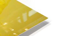 Covered in Yellow 01 HD Metal print
