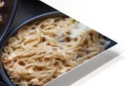 Ramen Feast HD Metal print