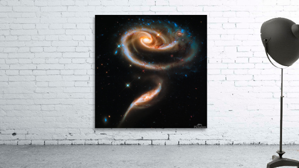 Space image Galaxy rose Wall Preview