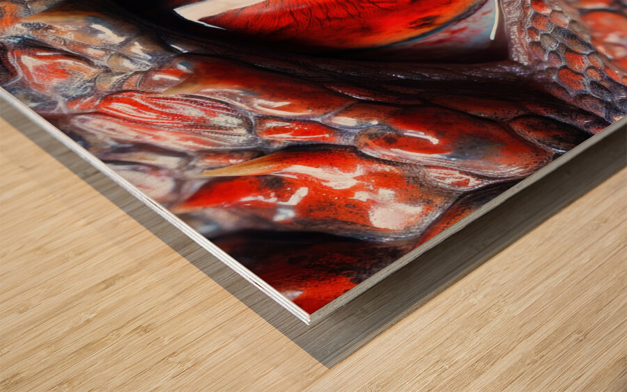 Dragon Eye 01 Red Wood print