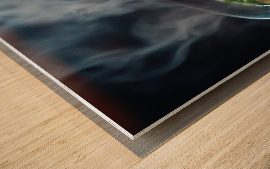 Steaming Ramen Delight Wood print