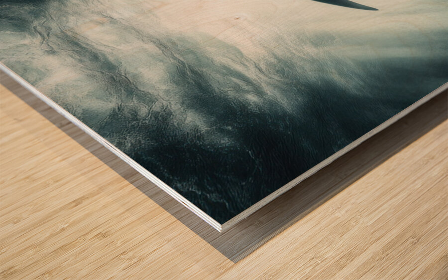 Orca Grace Wood print