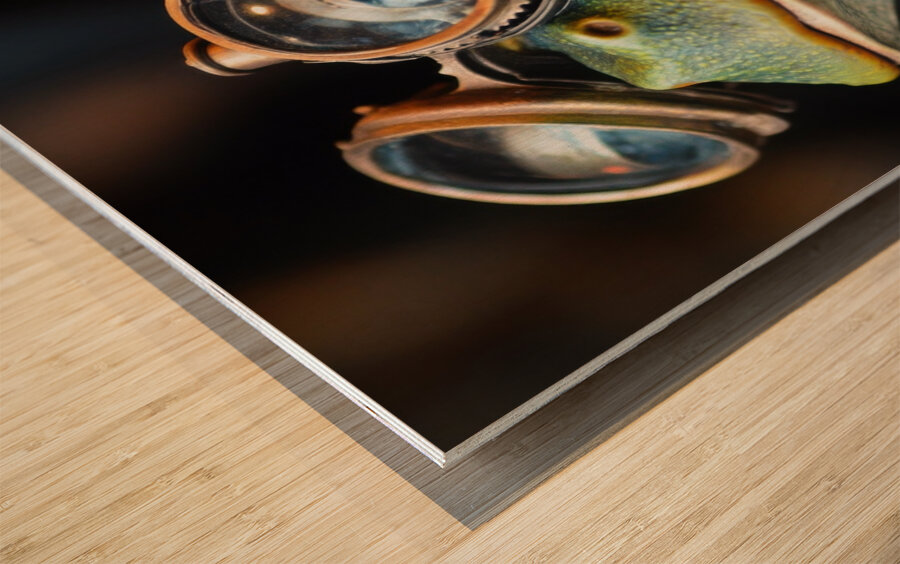 The Steampunk Frog Scholar Wood print