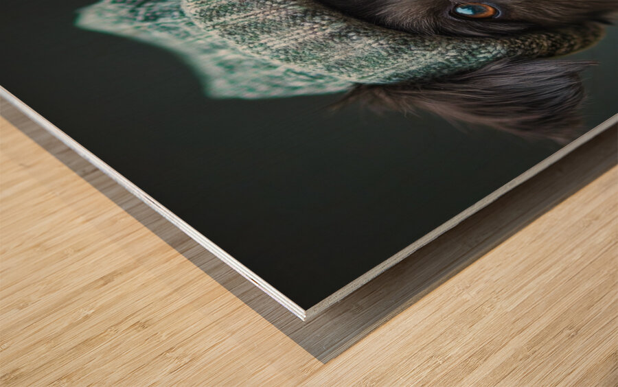 Winter Wanderer Dog - Canine Chic Wood print