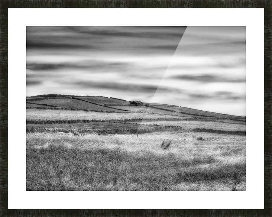 Grassland landscape fields BW Picture Frame print