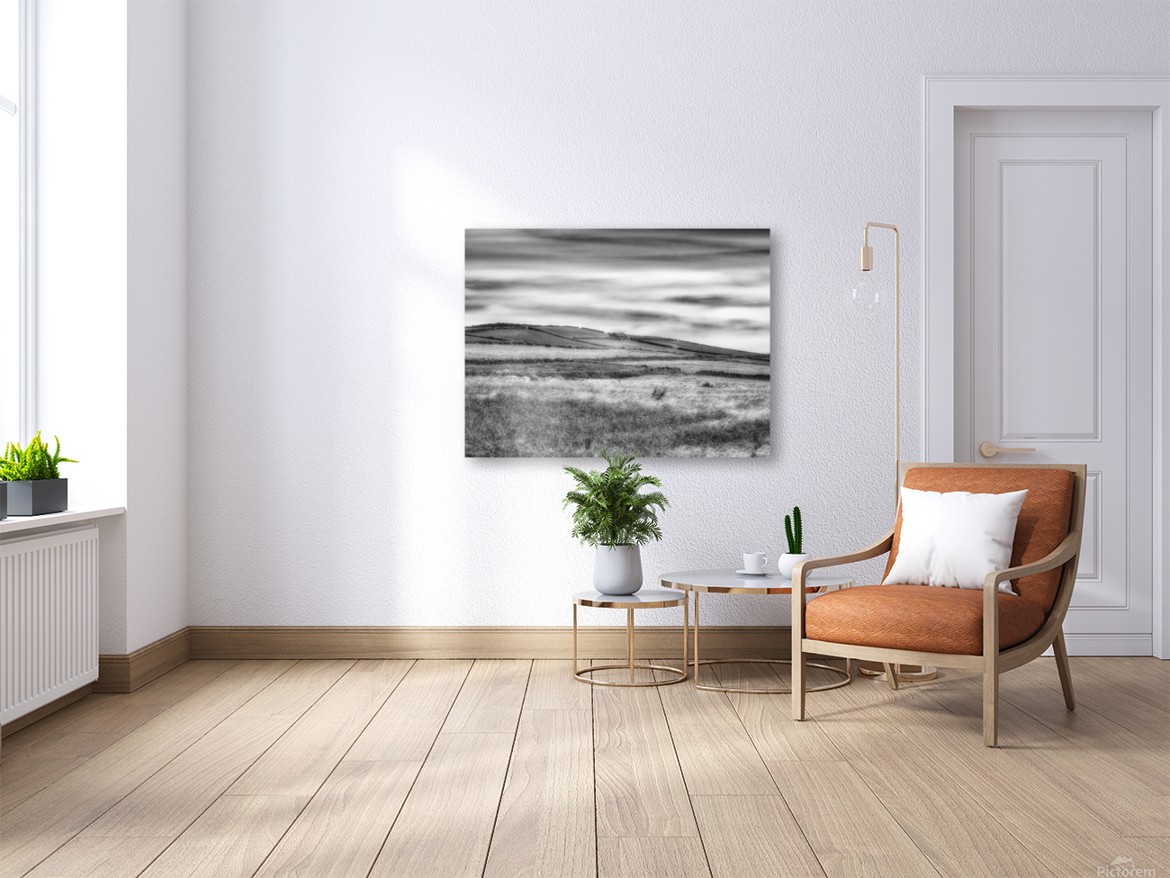 Grassland landscape fields BW Reproduction