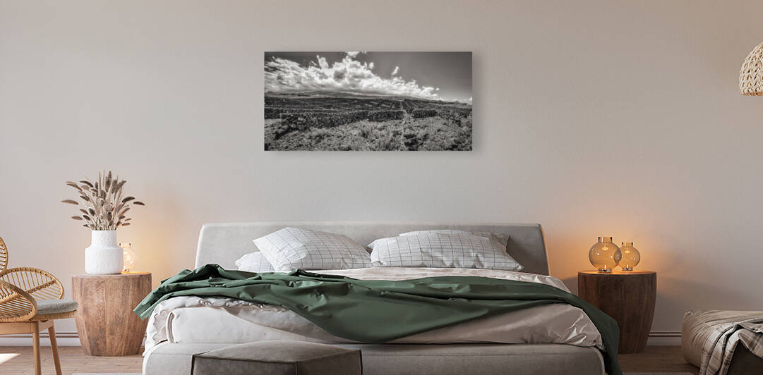 viticulture fields landscape in Azores Islands by Marco Sales