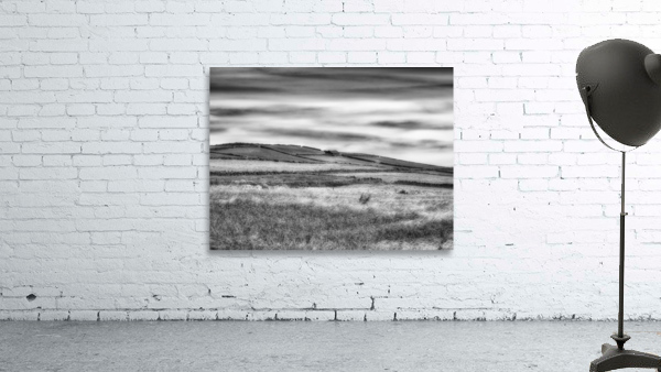 Grassland landscape fields BW Wall Preview