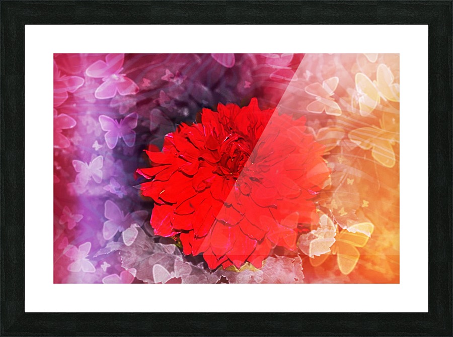 Butterfly flower Picture Frame print