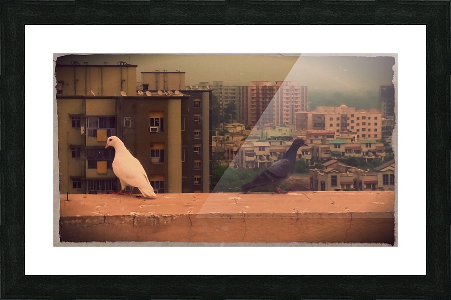 Resting Picture Frame print