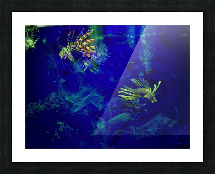 Searching my partner Picture Frame print
