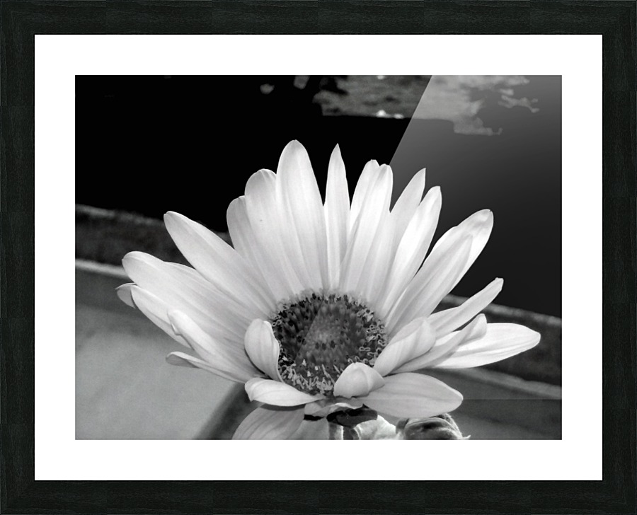 Beauty Picture Frame print