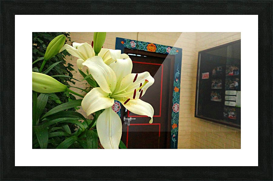 Lily Picture Frame print