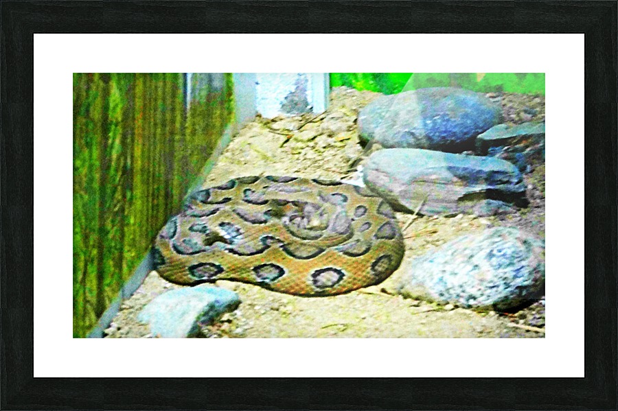 Python Picture Frame print