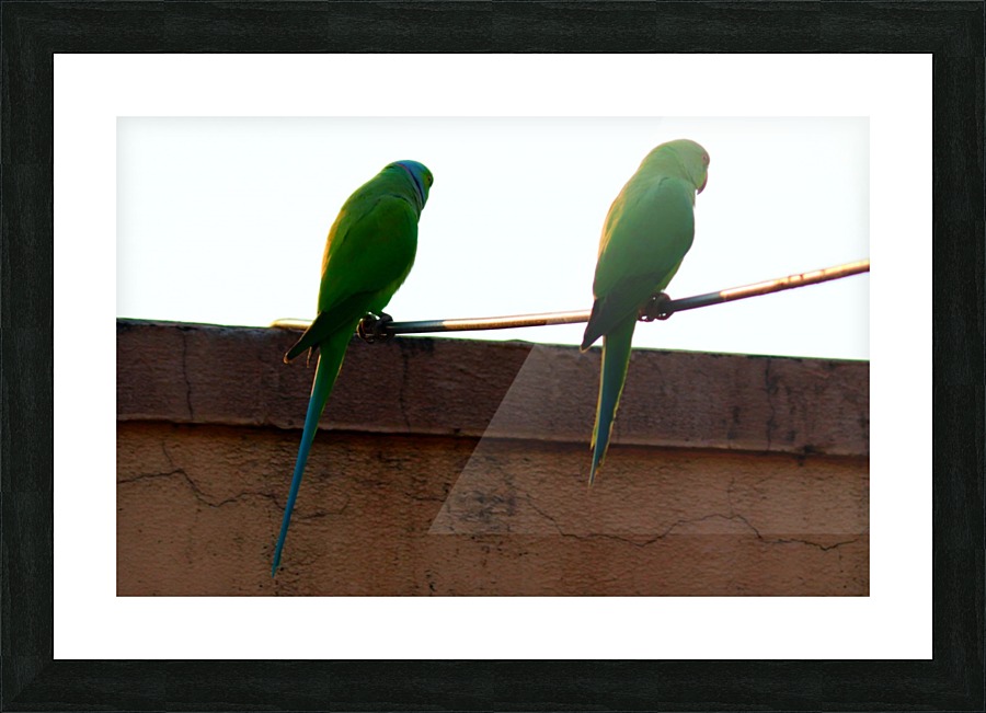 Two friends Picture Frame print