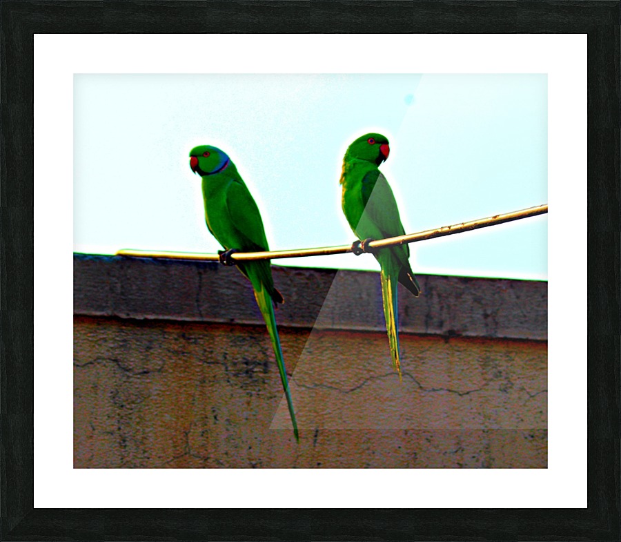 Swinging Picture Frame print